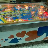 flipper anni70