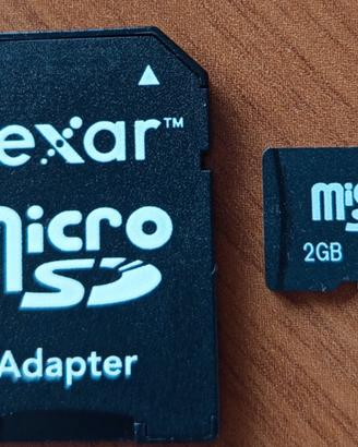 Scheda di memoria Micro SD 2 GB con adattatore