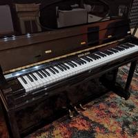 Rieger-Kloss 132 Concerto ( Bohemia/Bechstein)