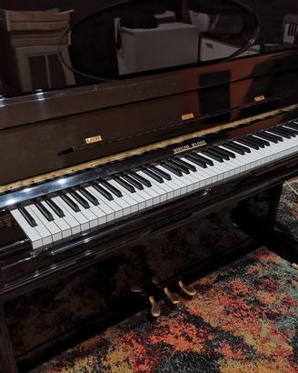 Rieger-Kloss 132 Concerto ( Bohemia/Bechstein)