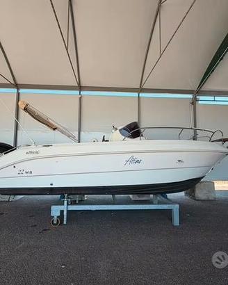 Mimi Fisherman 22 WA F150 Mercury elett. 407 ore