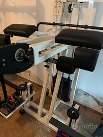 Standing gluteus technogym