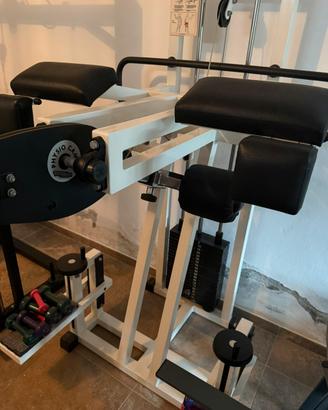 Standing gluteus technogym