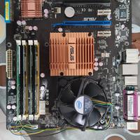 scheda madre asus
