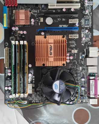 scheda madre asus