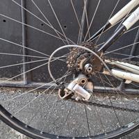 bici da corsa klem da donna