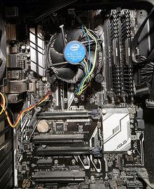 Scheda Madre Asus Prime H270-PRO