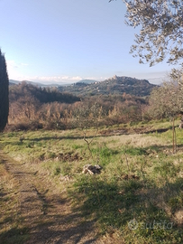 Rustico in una zona Panoramica