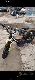 bicicletta elettrica zthec