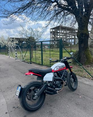 Ducati scrambler 800 - perfetta - pronta stagione