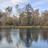 Terreno lago Varese C.E.R.C.O