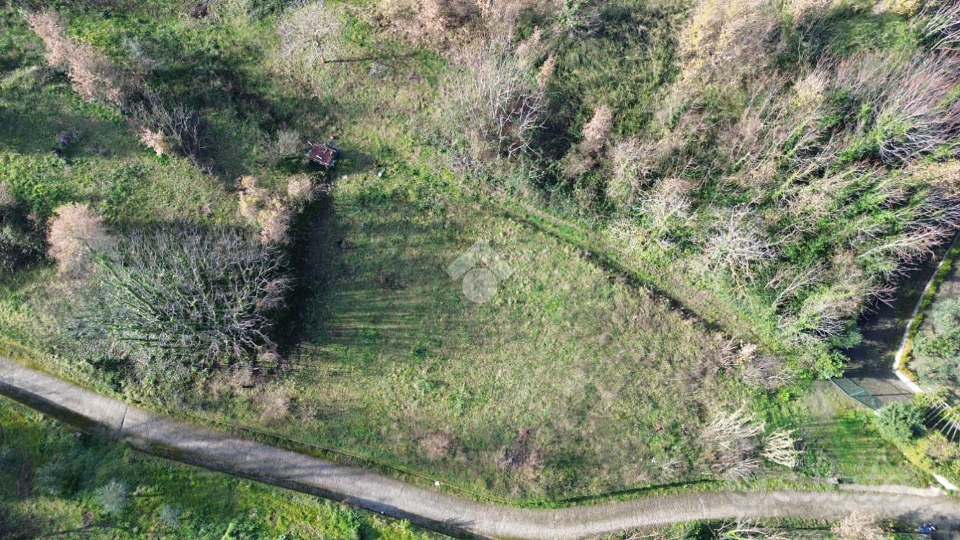 TERRENO A POLLENA TROCCHIA - Vista 2