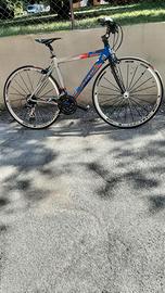 Bici Bottecchia top sprinter
