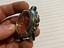 Immagine 4