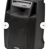 Audiodesign Pro M2 15W/L (A Batteria