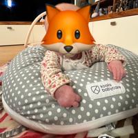 Cuscino 3 in 1 Koala Babycare