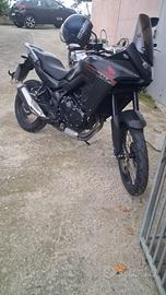 Honda transalp