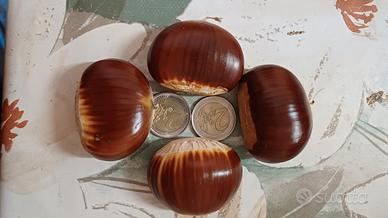 castagne 