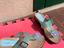 Immagine 1