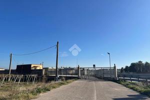 COMPLESSO A CERIGNOLA