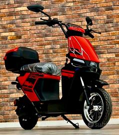 bicicletta elettrica