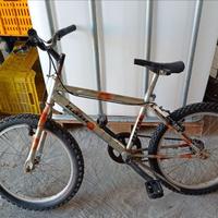 Bici ragazzo