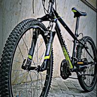 Bicicletta