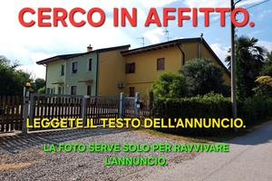 Appartamento medio