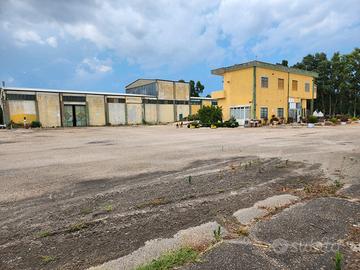 Villasor. Indipendente con capannone