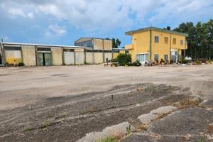 Villasor. Indipendente con capannone