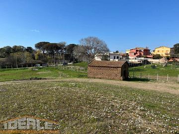 Terreno di 10000 m² a Anzio