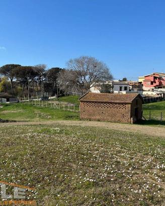 Terreno di 10000 m² a Anzio
