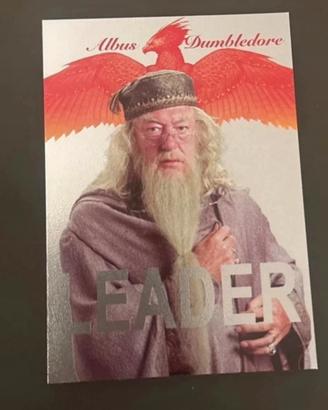 Harry potter always card parallel