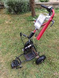 Carrello golf elettrico