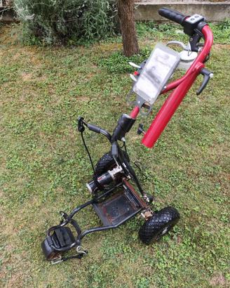 Carrello golf elettrico