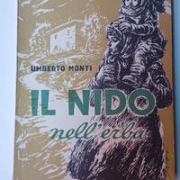 IL NIDO NELL' ERBA