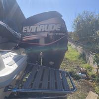 evinrude 225 ho
