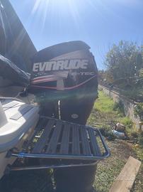 evinrude 225 ho
