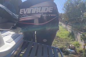 evinrude 225 ho