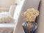 Immagine 19