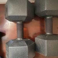 Pesi da 10kg