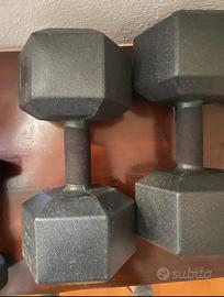 Pesi da 10kg