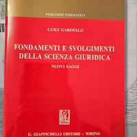 Fondamenti e svolgimenti della scienza giuridica l