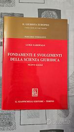 Fondamenti e svolgimenti della scienza giuridica l
