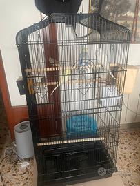 Pappagallini + Gabbia