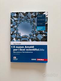 Il nuovo Amaldi per i licei scientifici.blu 3