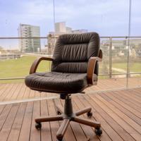 Due poltrone girevoli in pelle