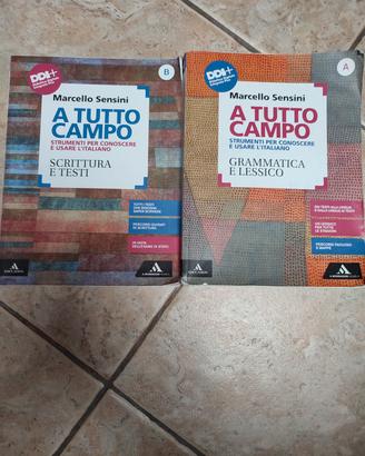 libro di grammatica usato