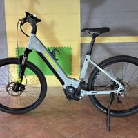 bici elettrica