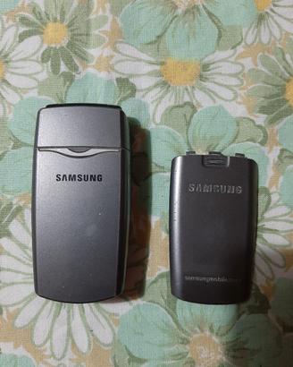 Cellulare Samsung SGH X210 